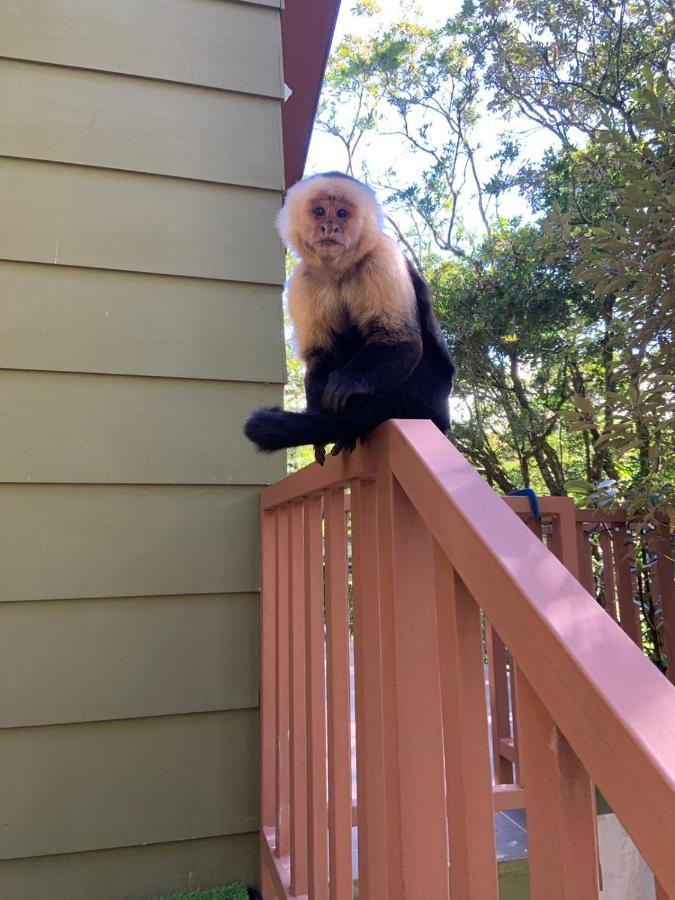 Casas Clusia Apartman Monteverde Kültér fotó